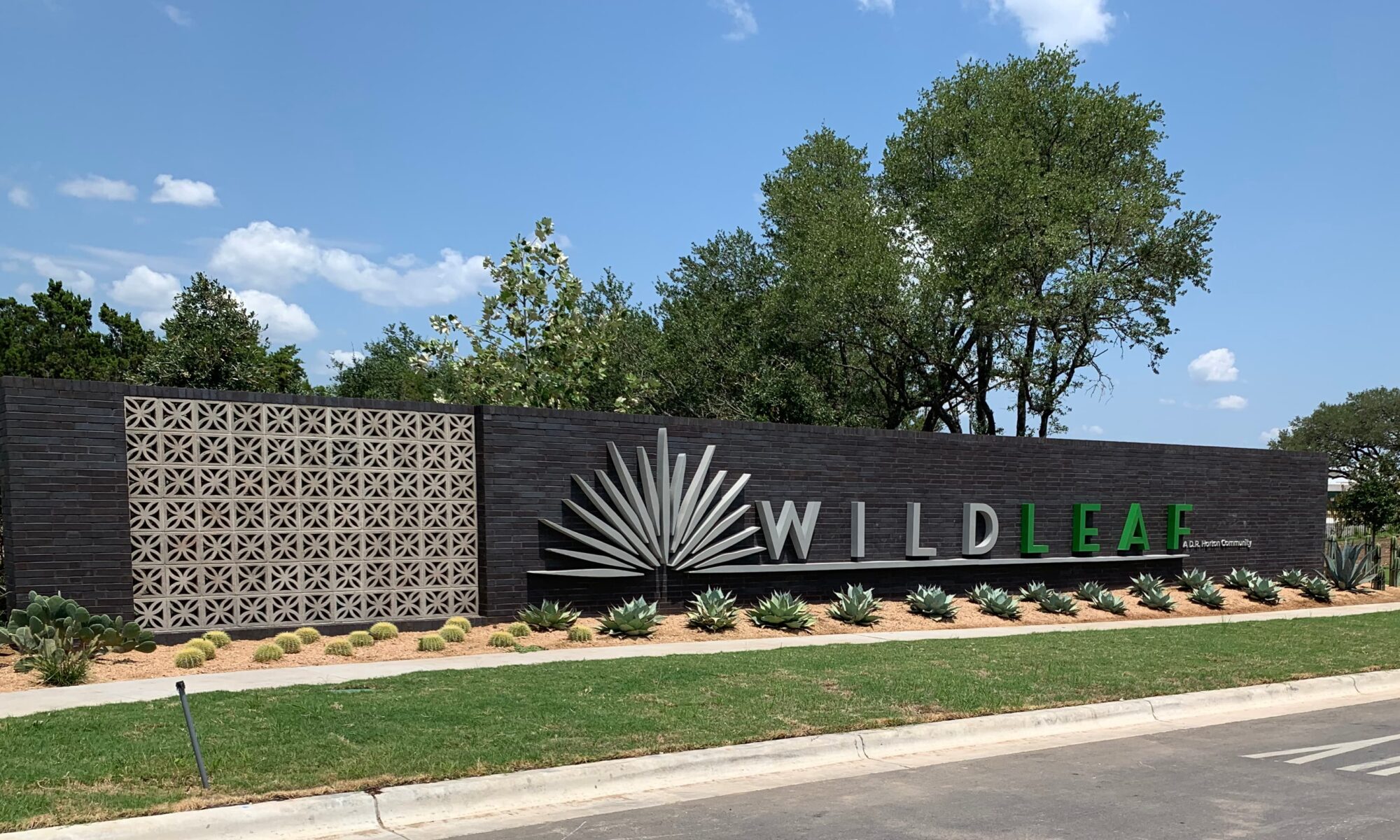 Wildleaf - photo 6
