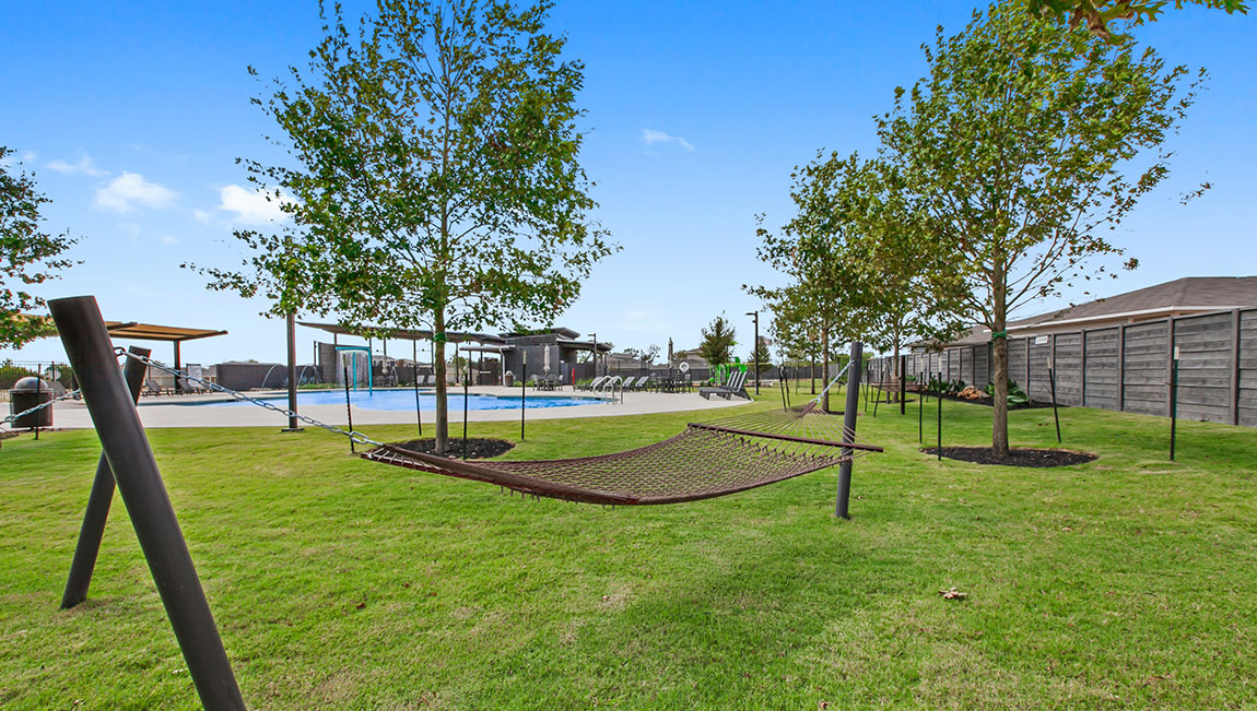 Wildleaf - photo 3
