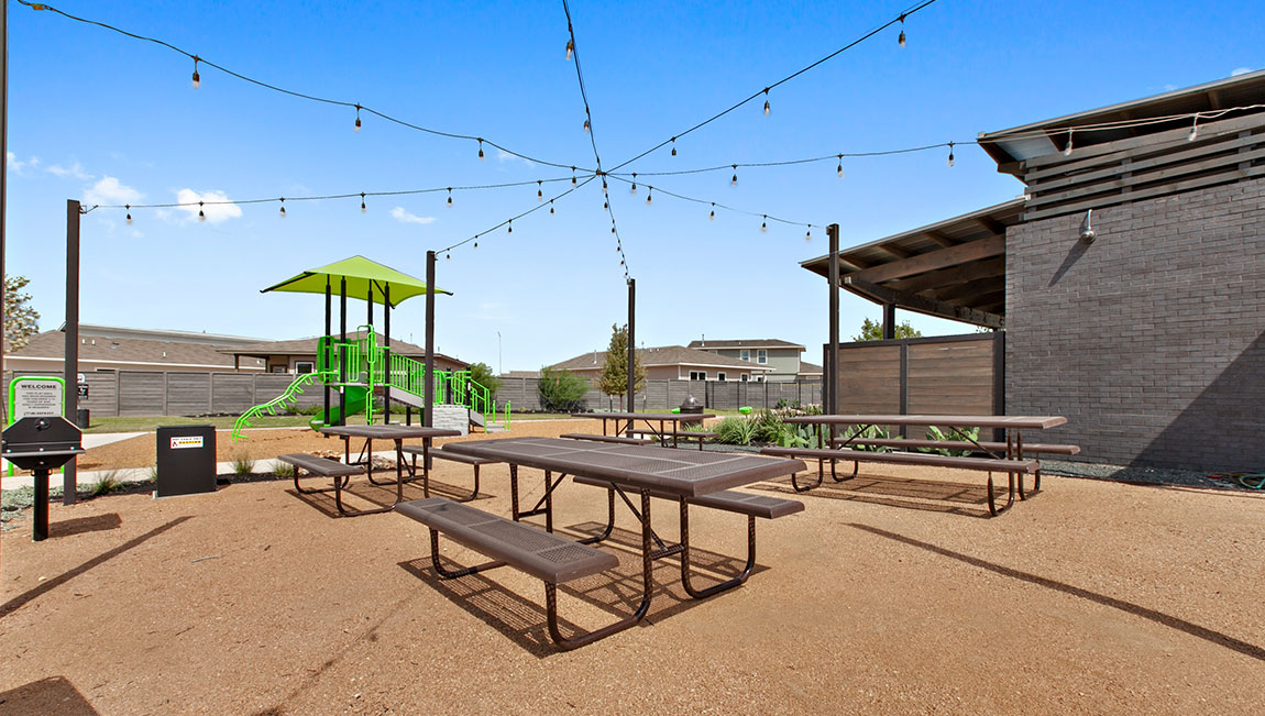 Wildleaf - photo 4